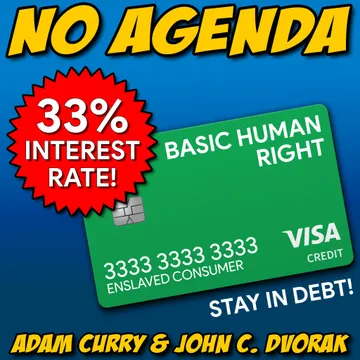 Immunity Debt